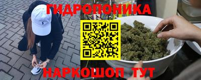 сатива Ирбит