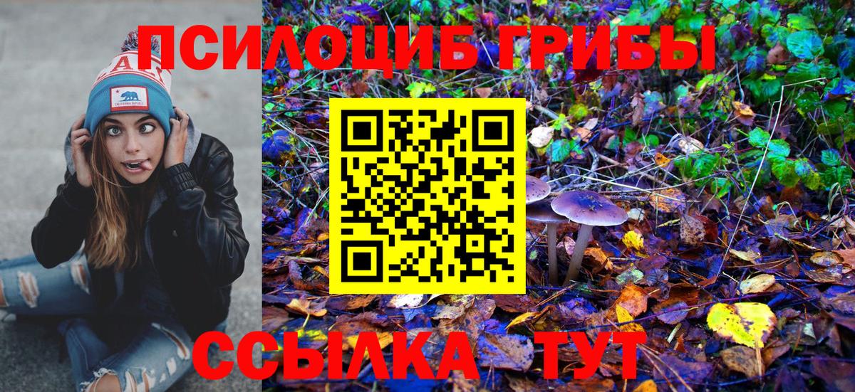 купить   Галлюциногенные грибы GOLDEN TEACHER  Вход с VPN  Коммунар  Псилоцибиновые грибы GOLDEN TEACHER 